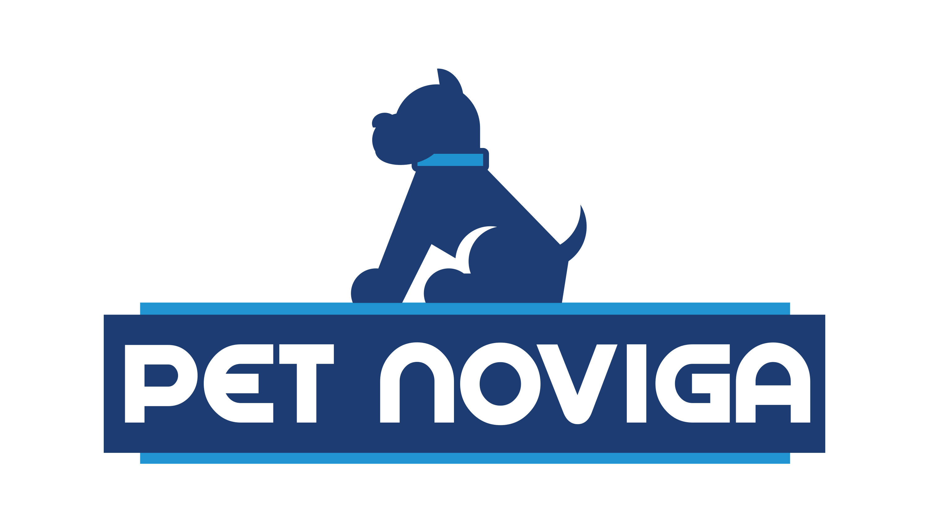 Pet Noviga Logo